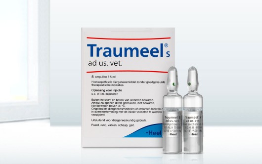 Traumeel® S Oplossing voor injectie 